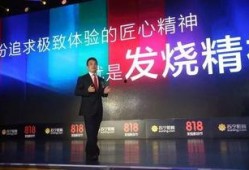 苏宁的最新爆料,揭秘苏宁易购神秘新项目，引领行业变革！